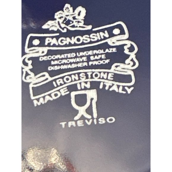 Pagnossin Treviso Ironstone Blue & Orange Pasta Bowls & Salad Plates - Picture 10 of 11